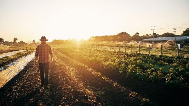 Agriculture and Farming Families